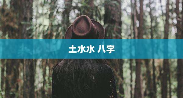 土水水 八字