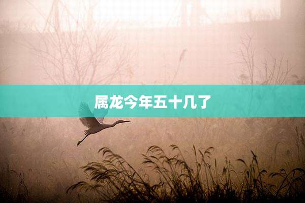 属龙今年五十几了