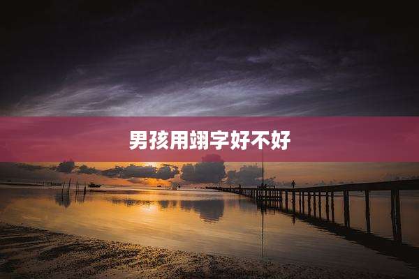男孩用翊字好不好
