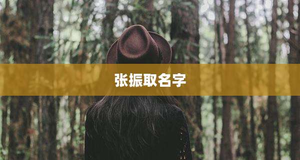 张振取名字