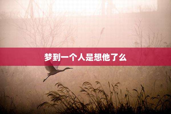 梦到一个人是想他了么