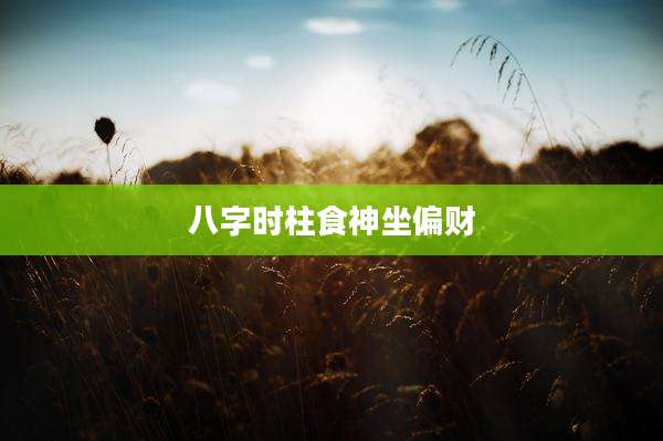 八字时柱食神坐偏财