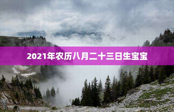 2021年农历八月二十三日生宝宝