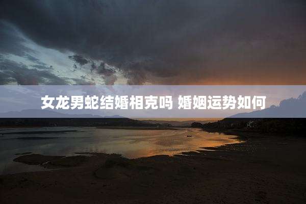 女龙男蛇结婚相克吗 婚姻运势如何