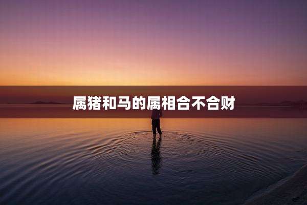 属猪和马的属相合不合财