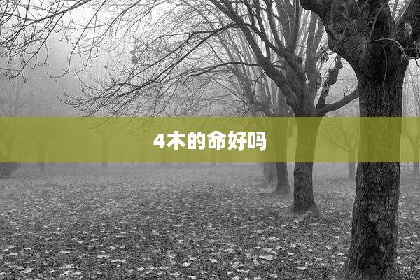4木的命好吗