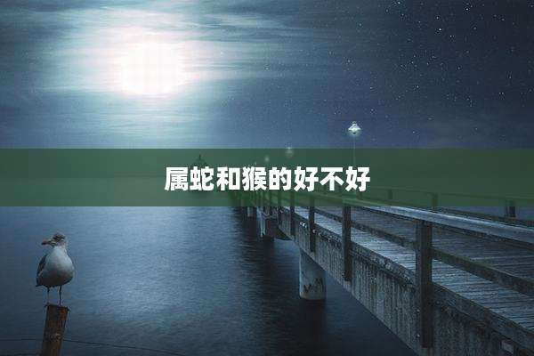 属蛇和猴的好不好