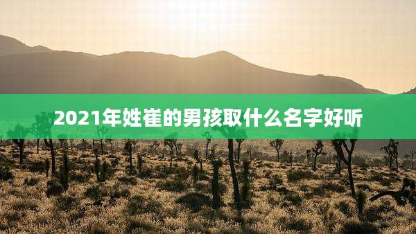2021年姓崔的男孩取什么名字好听