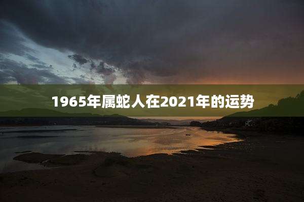 1965年属蛇人在2021年的运势