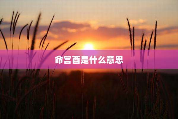 命宫酉是什么意思