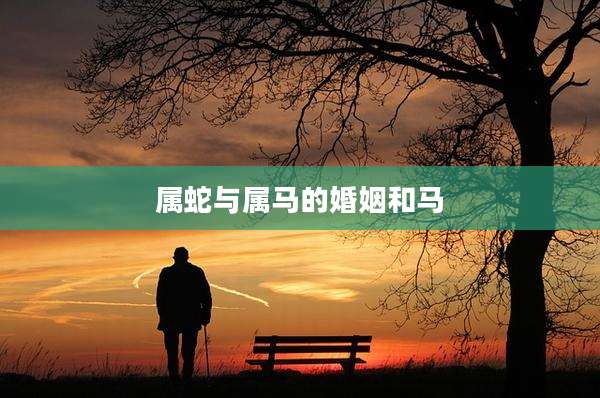 属蛇与属马的婚姻和马