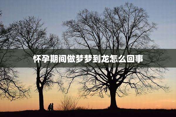 怀孕期间做梦梦到龙怎么回事