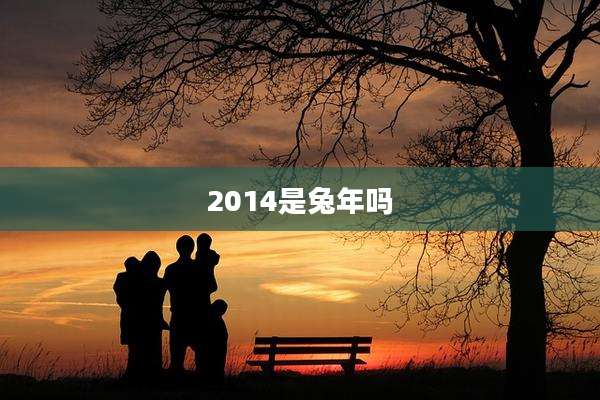 2014是兔年吗