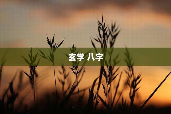 玄学 八字