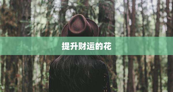 提升财运的花