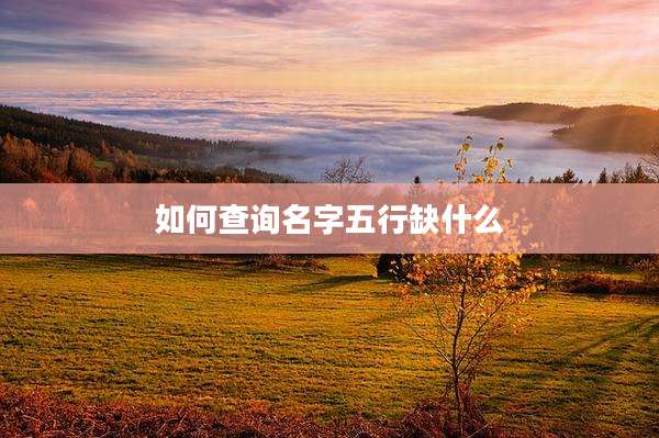 如何查询名字五行缺什么