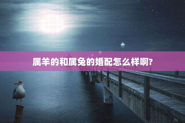属羊的和属兔的婚配怎么样啊?
