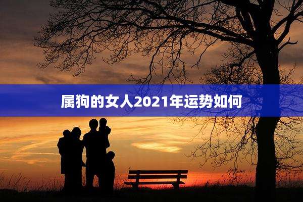 属狗的女人2021年运势如何