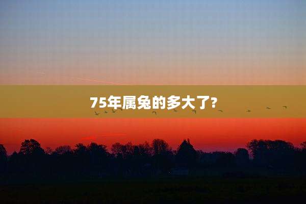 75年属兔的多大了?