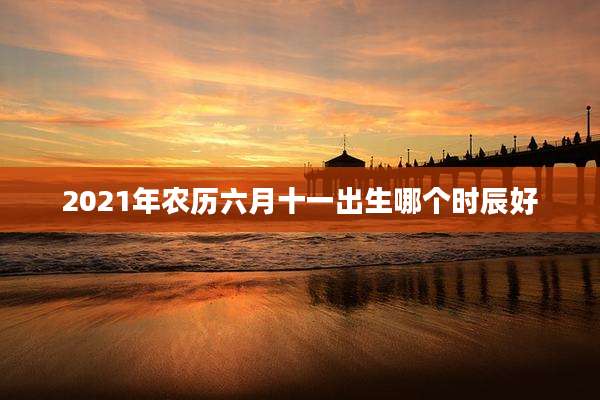 2021年农历六月十一出生哪个时辰好