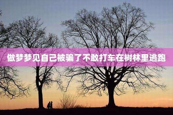 做梦梦见自己被骗了不敢打车在树林里逃跑