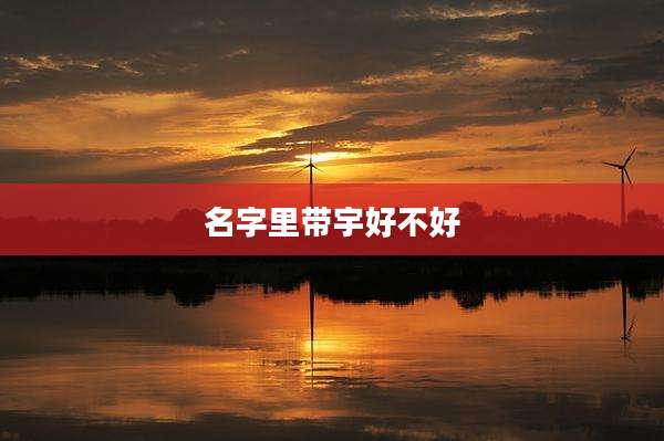 名字里带宇好不好