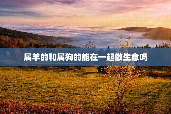 属羊的和属狗的能在一起做生意吗