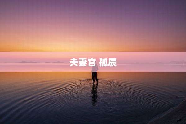 夫妻宫 孤辰