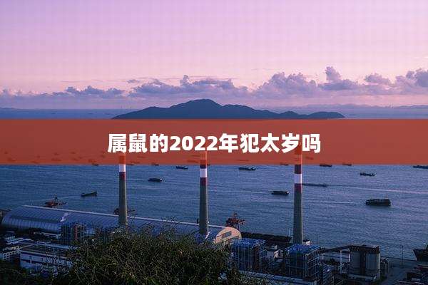 属鼠的2022年犯太岁吗