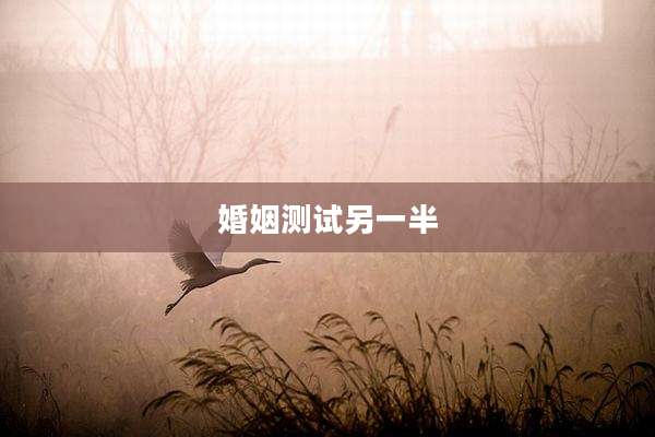 婚姻测试另一半