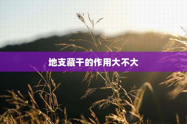 地支藏干的作用大不大