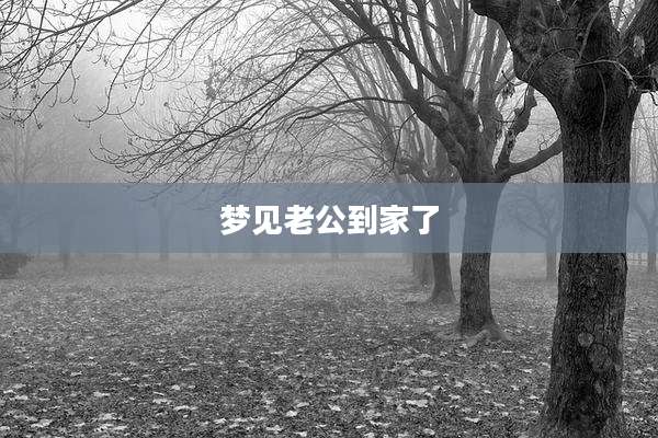 梦见老公到家了