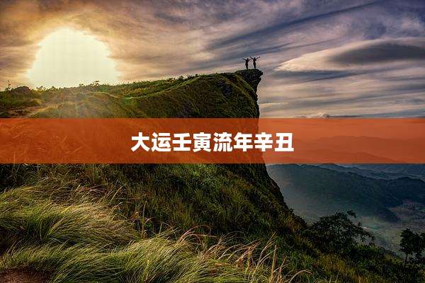 大运壬寅流年辛丑