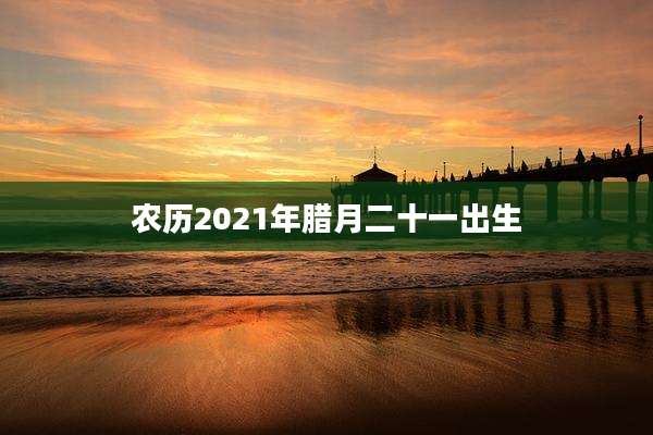 农历2021年腊月二十一出生