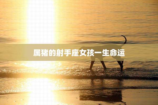 属猪的射手座女孩一生命运