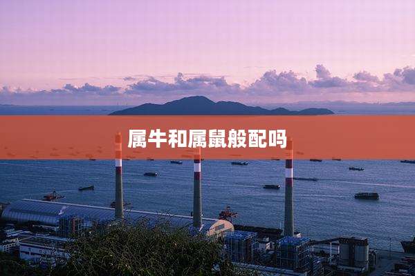 属牛和属鼠般配吗