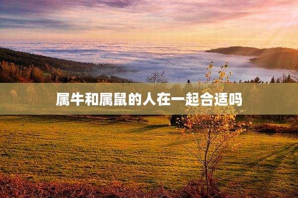 属牛和属鼠的人在一起合适吗
