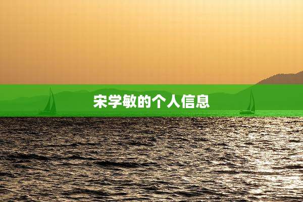 宋学敏的个人信息