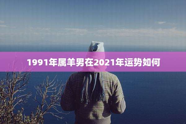 1991年属羊男在2021年运势如何