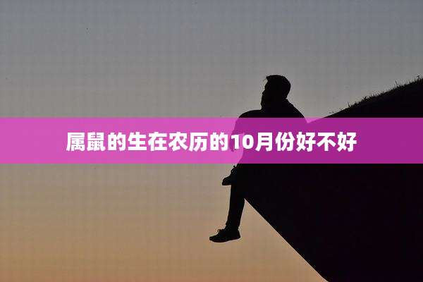 属鼠的生在农历的10月份好不好