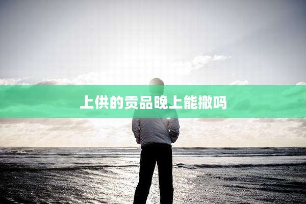 上供的贡品晚上能撤吗