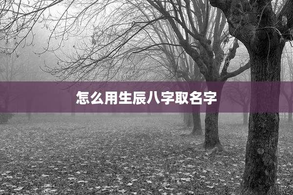 怎么用生辰八字取名字