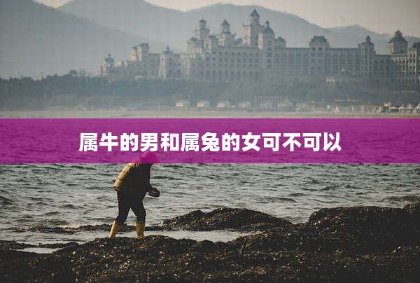 属牛的男和属兔的女可不可以