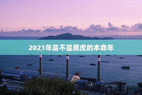 2021年是不是属虎的本命年