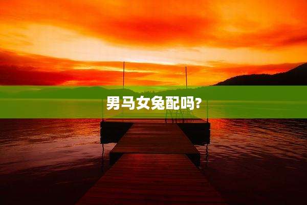 男马女兔配吗?