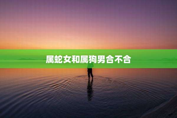 属蛇女和属狗男合不合