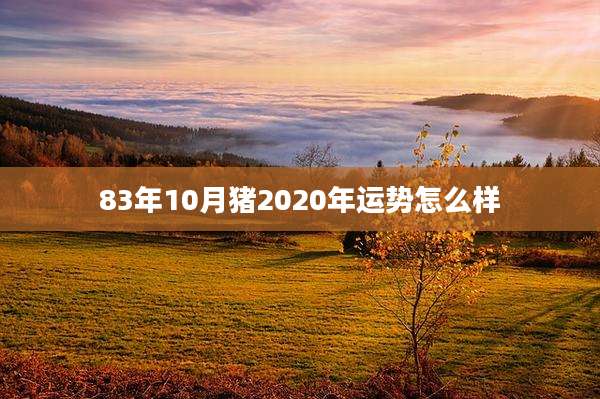 83年10月猪2020年运势怎么样