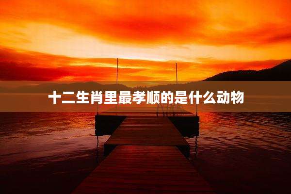 十二生肖里最孝顺的是什么动物