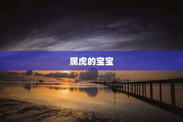 属虎的宝宝