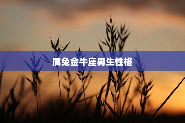 属兔金牛座男生性格